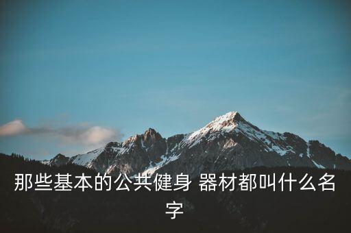 云梯體育器材有哪些,體育器材名稱大全圖片云梯