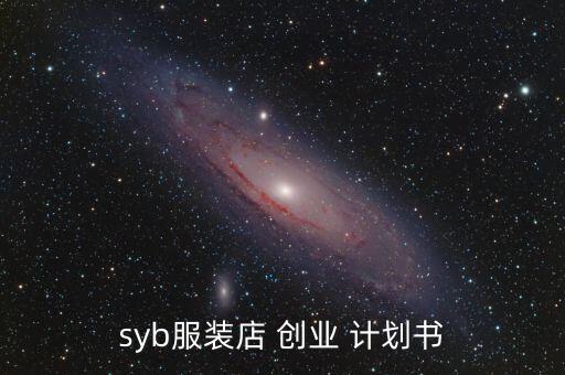 syb服裝店 創(chuàng)業(yè) 計(jì)劃書