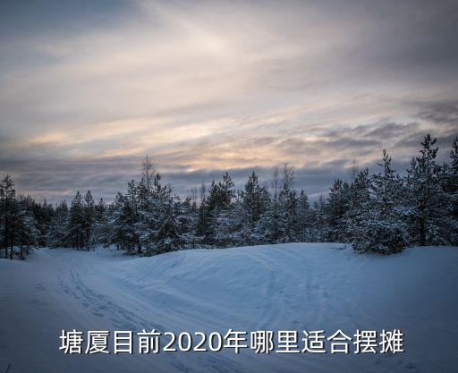  塘廈目前2020年哪里適合擺攤