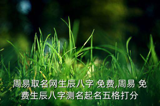 周易取名網(wǎng)生辰八字 免費(fèi),周易 免費(fèi)生辰八字測(cè)名起名五格打分