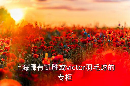 上海哪有凱勝或victor羽毛球的專柜