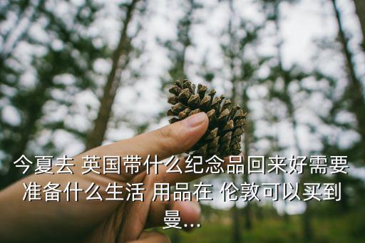 今夏去 英國(guó)帶什么紀(jì)念品回來(lái)好需要準(zhǔn)備什么生活 用品在 倫敦可以買到曼...