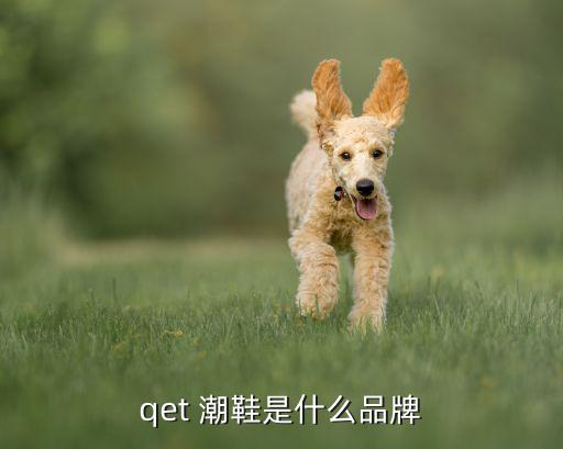 qet 潮鞋是什么品牌