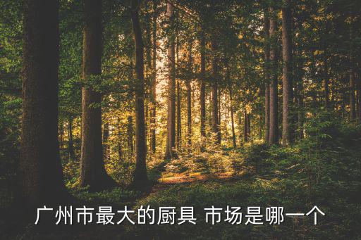 附近廚房設(shè)備批發(fā)市場(chǎng)在哪里,離我最近的廚具批發(fā)市場(chǎng)