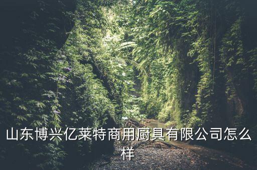 博興縣最大的廚房設(shè)備廠,山東省博興縣順達(dá)廚房設(shè)備廠