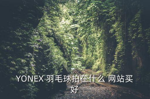 YONEX 羽毛球拍在什么 網(wǎng)站買好