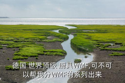 德國 世界頂級(jí) 廚具WMF,可不可以幫我分WMF的系列出來