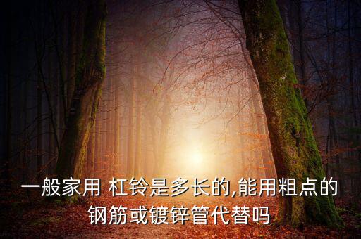 碳鋼杠鈴桿,國際舉重聯(lián)合會認(rèn)可的國際標(biāo)準(zhǔn)杠鈴有兩種