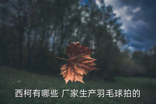 西柯有哪些 廠家生產(chǎn)羽毛球拍的