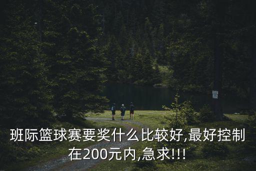 班際籃球賽要獎什么比較好,最好控制在200元內(nèi),急求!!!