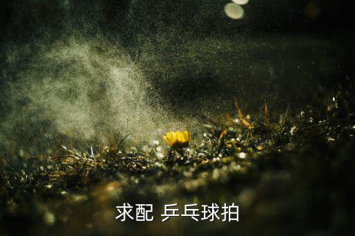 乒乓球拍生產(chǎn)廠家聯(lián)系方式電話,假球拍招牌做工非常粗糙