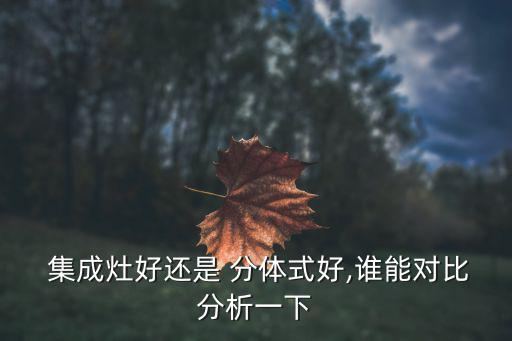  集成灶好還是 分體式好,誰能對(duì)比分析一下