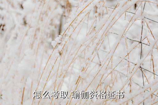 怎么考取 瑜伽資格證書