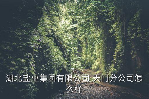 湖北鹽業(yè)集團有限公司 天門分公司怎么樣