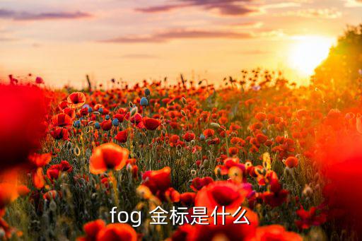 fog 金標是什么