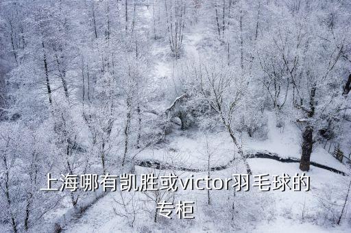 上海哪有凱勝或victor羽毛球的專柜