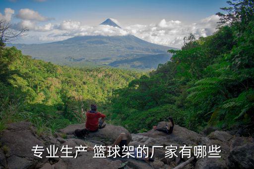 籃球架體育器材廠家排名前十,貴港籃球架體育器材廠家