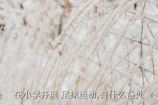 在小學(xué)開展 足球運(yùn)動,有什么益處