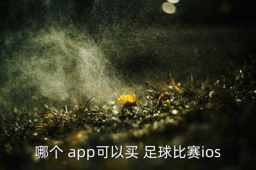 哪個(gè) app可以買(mǎi) 足球比賽ios