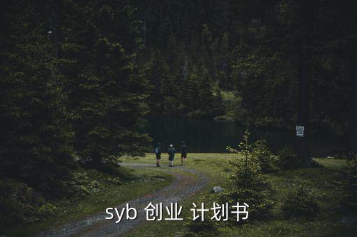 syb 創(chuàng)業(yè) 計(jì)劃書