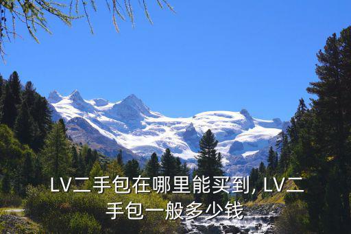  LV二手包在哪里能買到, LV二手包一般多少錢