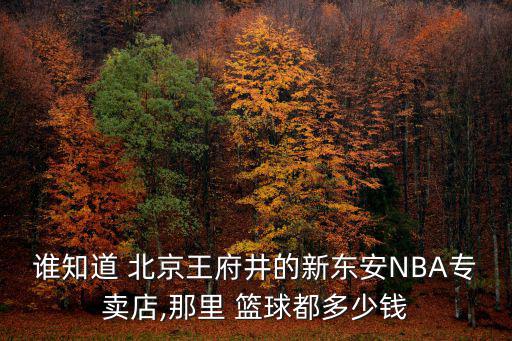 誰知道 北京王府井的新東安NBA專賣店,那里 籃球都多少錢