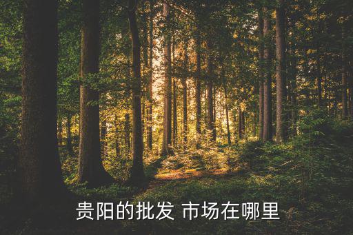  貴陽(yáng)的批發(fā) 市場(chǎng)在哪里