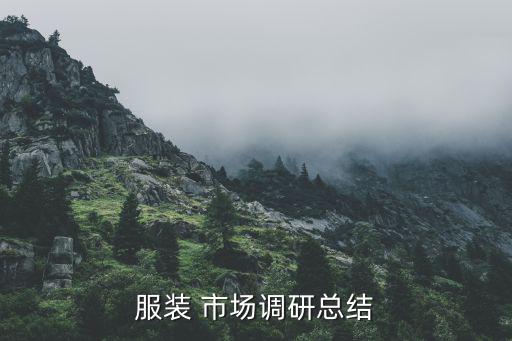 服裝 市場(chǎng)調(diào)研總結(jié)