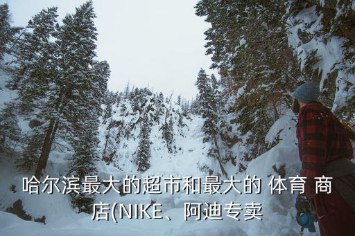 哈爾濱最大的超市和最大的 體育 商店(NIKE、阿迪專賣