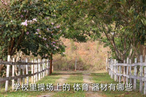 體育器材名稱大全圖片幼兒園,健身房體育器材名稱大全圖片