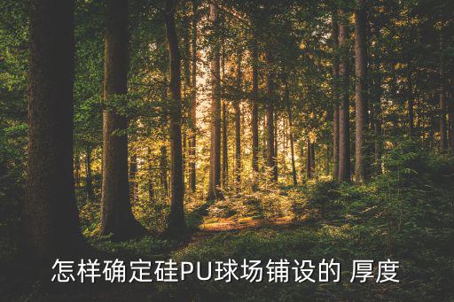 籃球場硅pu標(biāo)準(zhǔn)厚度