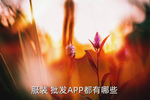 服裝 批發(fā)APP都有哪些