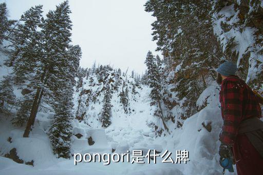 pongori是什么牌