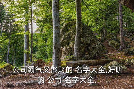  公司霸氣又聚財?shù)?名字大全,好聽的 公司 名字大全,