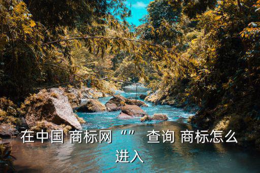 在中國 商標(biāo)網(wǎng)“” 查詢 商標(biāo)怎么進(jìn)入