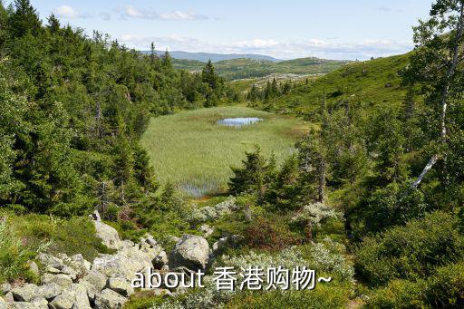 香港哪里的體育用品打折,很多體育用品正在打折英語(yǔ)