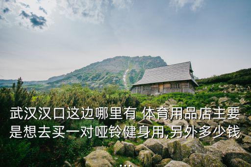 武漢漢口這邊哪里有 體育用品店主要是想去買(mǎi)一對(duì)啞鈴健身用,另外多少錢(qián)...