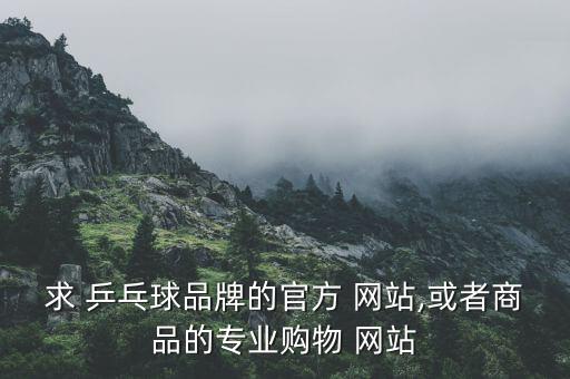 乒乓球器材網(wǎng)站哪個好,哪個網(wǎng)站可以看乒乓球直播