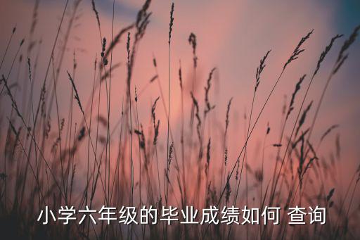 小學(xué)分?jǐn)?shù)怎么查詢系統(tǒng),金太陽分?jǐn)?shù)查詢系統(tǒng)