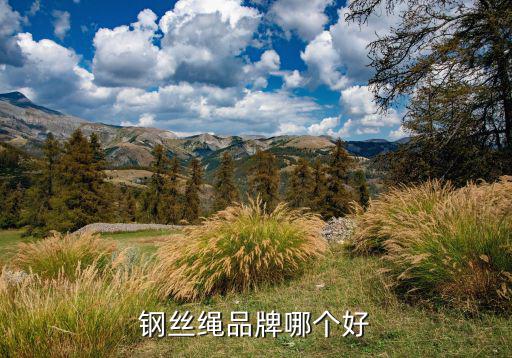 最好的繩索品牌,電梯鋼絲繩新技術(shù)涌現(xiàn)老牌廠商生產(chǎn)不再安全