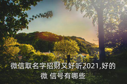 微信取名字招財又好聽2021,好的微 信號有哪些