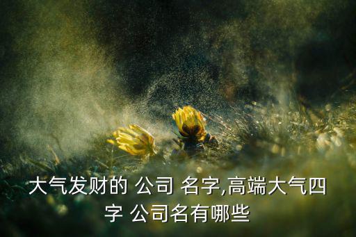 大氣發(fā)財(cái)?shù)?公司 名字,高端大氣四字 公司名有哪些