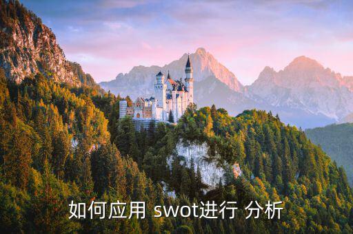 如何應(yīng)用 swot進行 分析