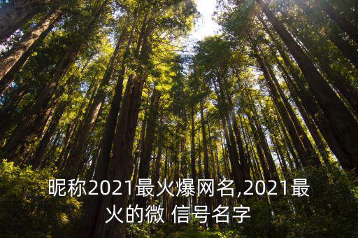 昵稱2021最火爆網(wǎng)名,2021最火的微 信號名字