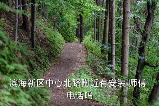 濱海新區(qū)中心北路附近有安裝 師傅 電話嗎