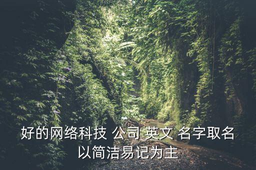 好的網(wǎng)絡(luò)科技 公司 英文 名字取名以簡(jiǎn)潔易記為主