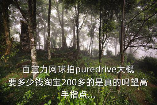 百寶力網(wǎng)球拍puredrive大概要多少錢淘寶200多的是真的嗎望高手指點...