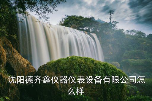  沈陽(yáng)德齊鑫儀器儀表設(shè)備有限公司怎么樣