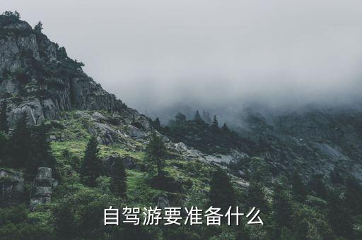  自駕游要準備什么