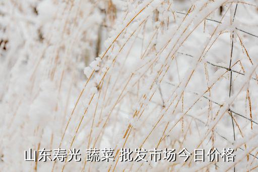 白沙洲蔬菜最新批發(fā)價格,2022年今日菜價查詢價目表